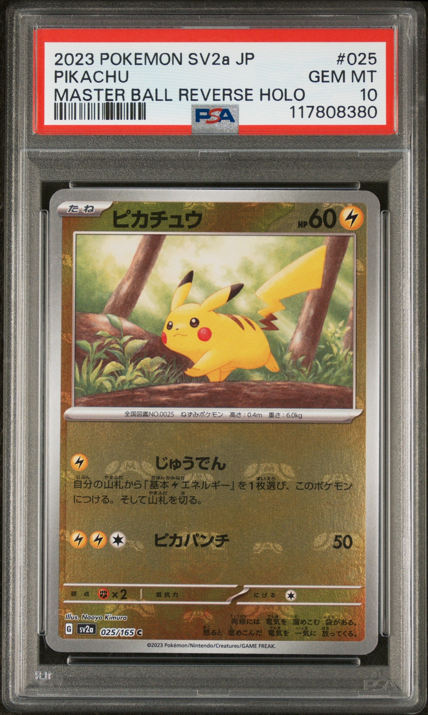 PSA 10 025/165 117808380