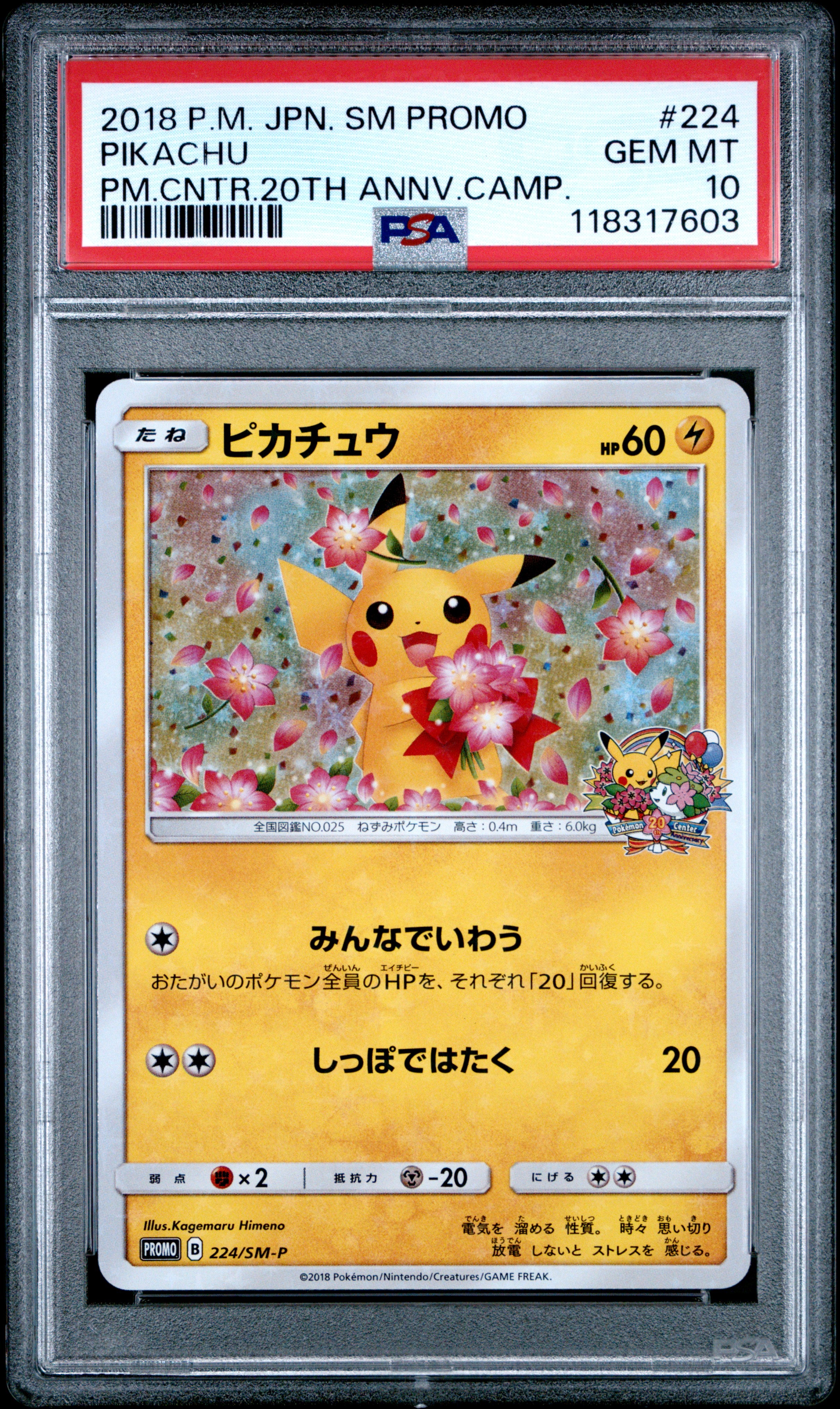 PSA 10 224/SM-P 118317603