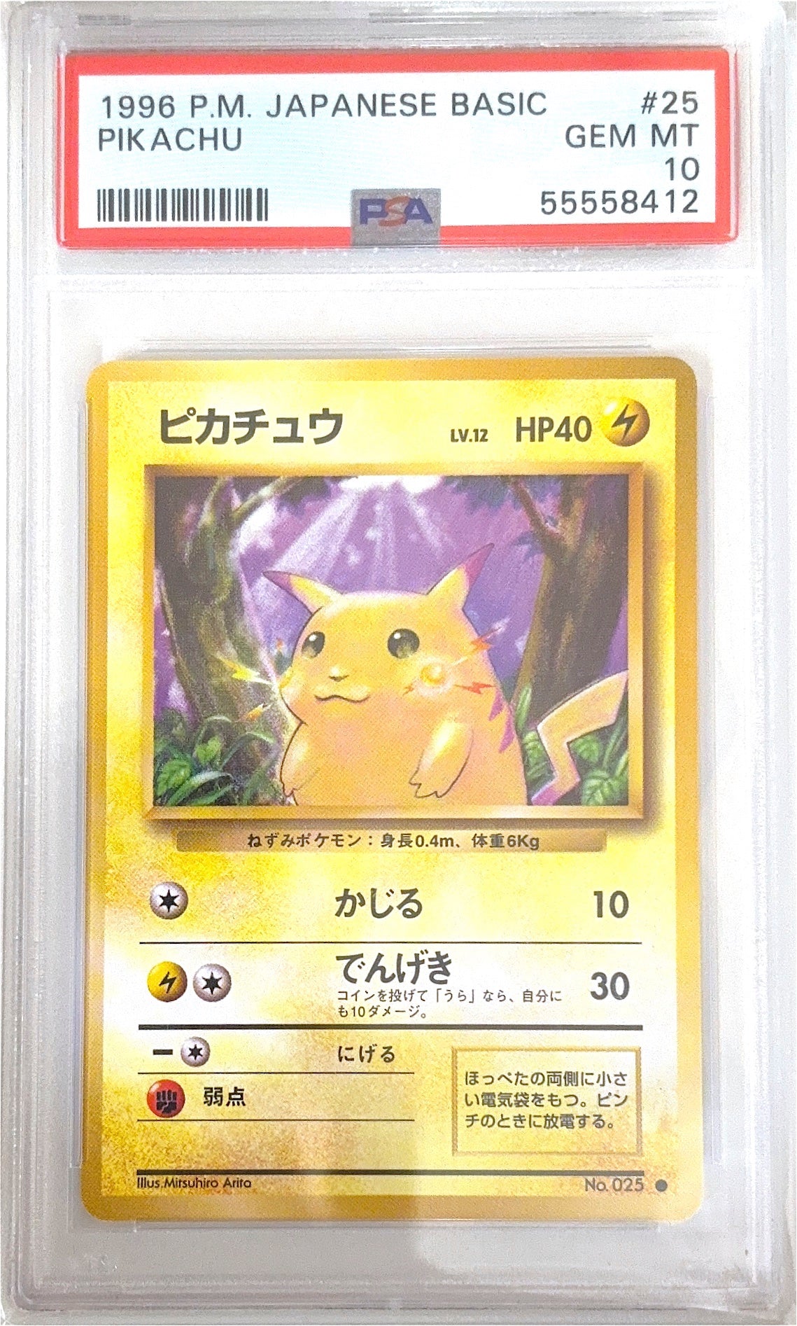 PSA 10 No.25 55558412