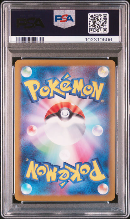 PSA 10 200,202,205,206,209,211,212,217/223,224/187 104467622 (Set 042)